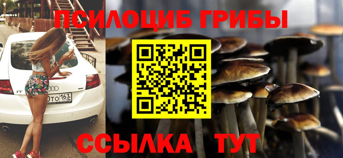 Псилоцибиновые грибы Psilocybine cubensis Энгельс
