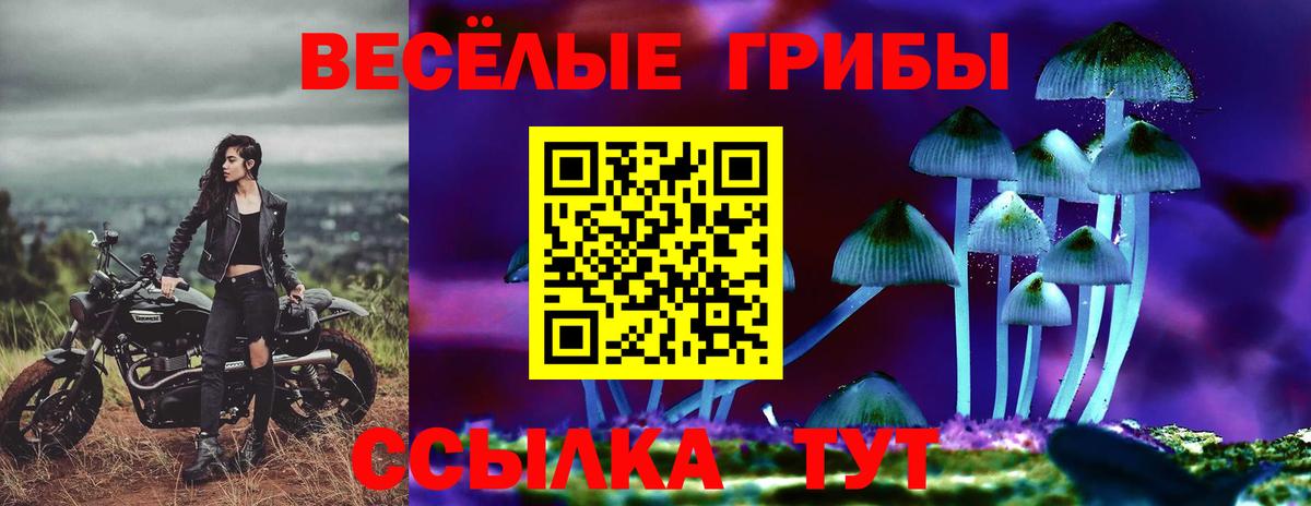 Энгельс  Псилоцибиновые грибы Cubensis  Вход с VPN  Псилоцибиновые грибы Psilocybe 